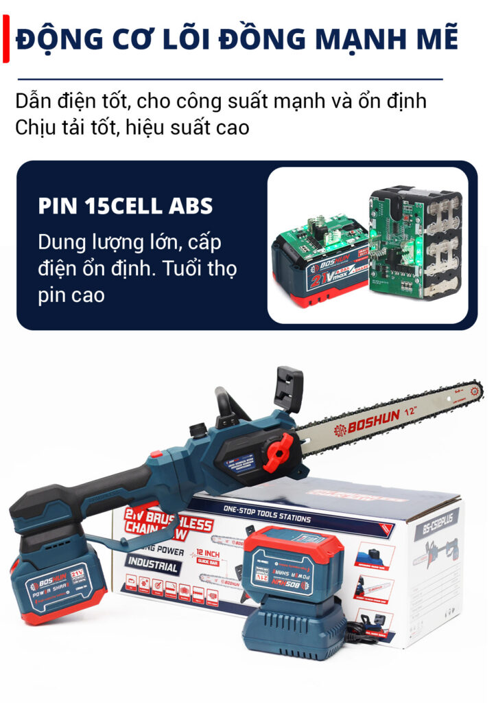 BS CS12PLUS 1